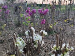 -西安汉城湖景区