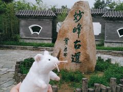 -阳台山自然风景区