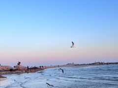 -老虎石海上公园