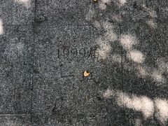 -上海市实验学校