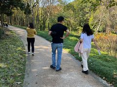 -昆山城市生态森林公园