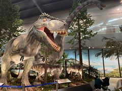 -湖南省地质博物馆