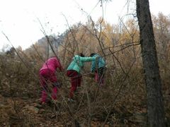 -五女山景区