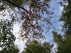 门面-桂山风景旅游区