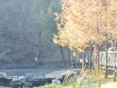 -白水寺森林公园