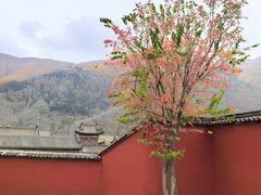 -五台山风景名胜区