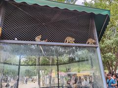 -长白岛森林公园