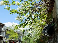 -蓝壁虎咖啡酒馆