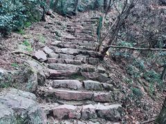 -四明山国家森林公园