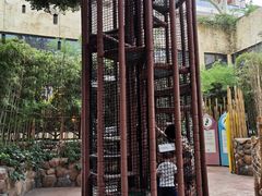 -杭州开元森泊度假乐园