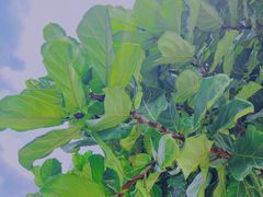 -白石龙音乐公园