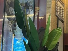 -金色印象·4K影院式足体养生(杨家坪西郊店)