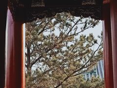 -迎泽公园