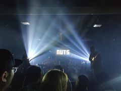 -坚果NUTS