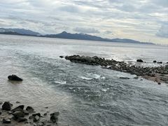 -深圳湾公园(南山区)