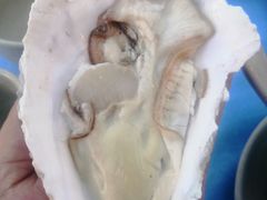 -千岛蚝高压锅生蚝·人参火锅(白云万达店)