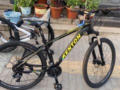 -道路口单车爱瓦士dahon大行