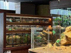 -帕帕拉兹宠物(亚洲旗舰店)