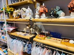 -狗道宠物(常熟印象城店)