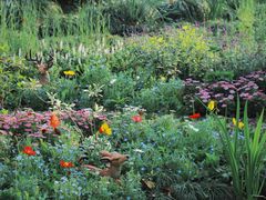 -上海共青森林公园