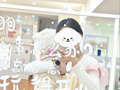 -汪说·狗咖·拼豆·宠物周边DIY(旺城大厦店)