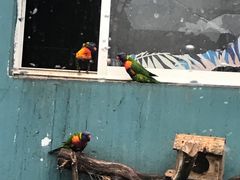 -无锡动物园·太湖欢乐园