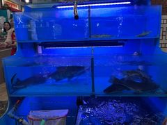 -韩妹鱼庄·泸定老字号(泸定店)