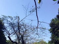 -上野公园花园稻荷神社(忍岡稲荷神社)