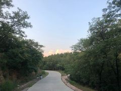 -鬼笑石后山停车场
