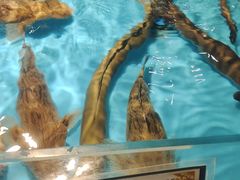 -拉完海鲜大排档(温岭店)