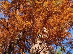 -敬亭山风景名胜区