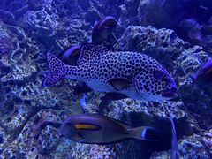 -成都浩海立方海洋公园