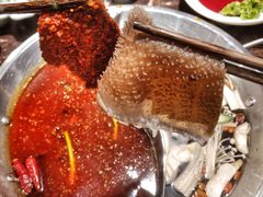 极品毛肚-晓宇重庆火锅(赛格国际购物中心店)