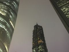-上海柏悦酒店