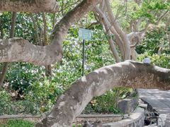 -乌鲁瓦图寺