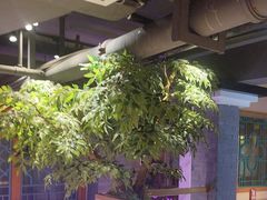 -巢爷老味(东方红店)