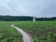 -帽儿山国家森林公园