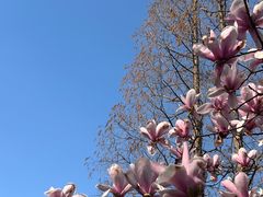 -同济大学本部学苑饮食广场
