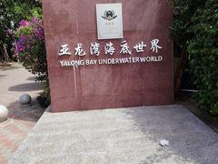-亚龙湾海底世界