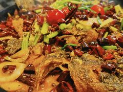 -老板恋上鱼(恒隆广场店)