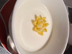 杏仁豆腐-柿合缘新京菜(静安嘉里中心店)