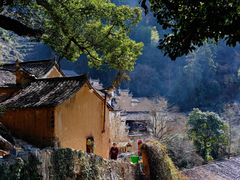-杨家堂村