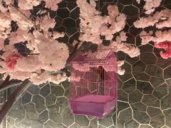 -蓝鲸湾汤泉(包河店)