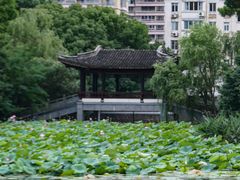 -范蠡湖公园