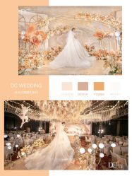 -DC大蔡婚礼策划(李公堤店)