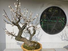 -光福景区