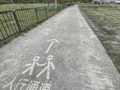 -栖露营camping·天幕烧烤·团建拓展·采摘营地