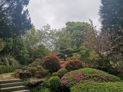 -阿哈湖国家湿地公园
