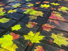 -南丰汇(新港东路店)