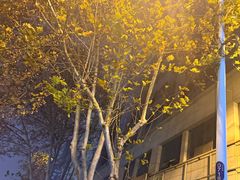 -老乡鸡(庐江路店)